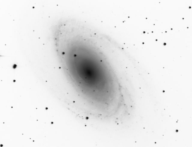 NGC 3031.jpg